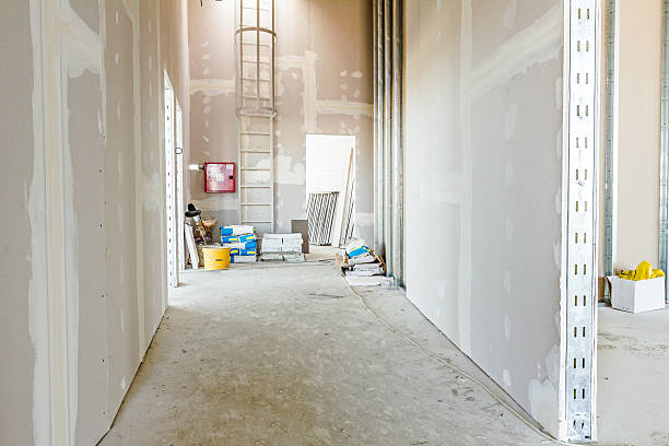Best Black Mold Removal  in Ttapoisett Center, MA